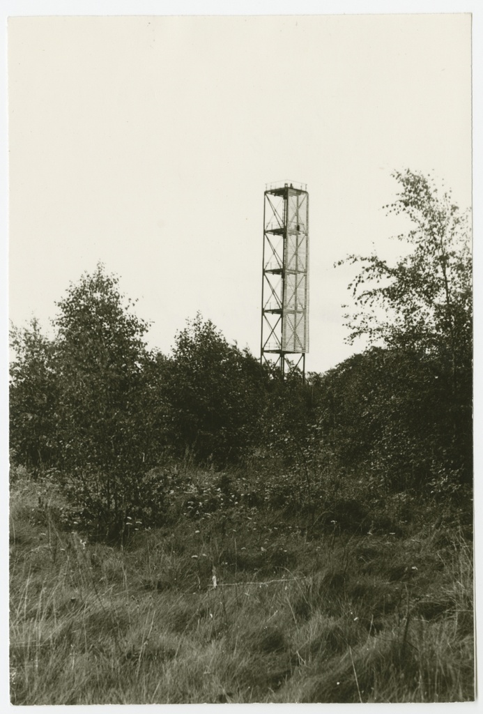 Viimsi sihttulede alumine tuli Haabneemes