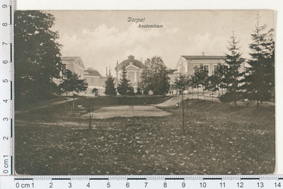 Dorpat, anatomy  duplicate photo