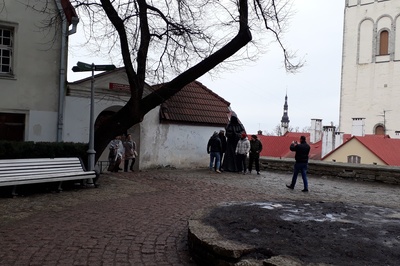 Tallinn, Limani aed talvel. rephoto