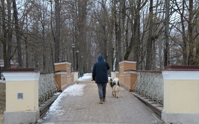 Inglisild Toomemäel (pealtvaade),  Tartu,  ca 1920-1930. rephoto