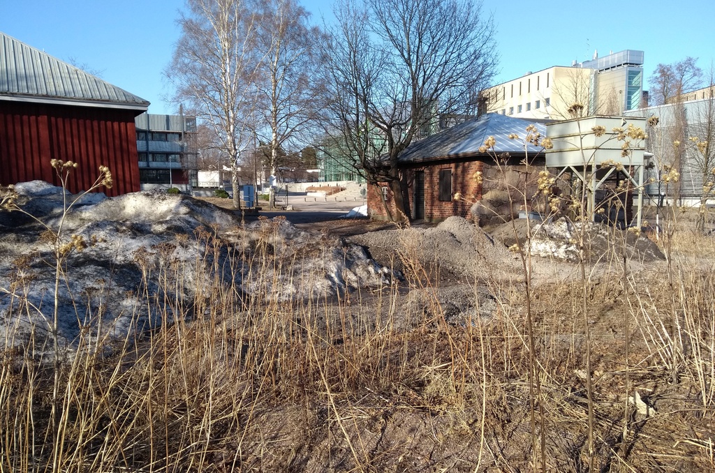 Sheep in Viikin Latokartano rephoto