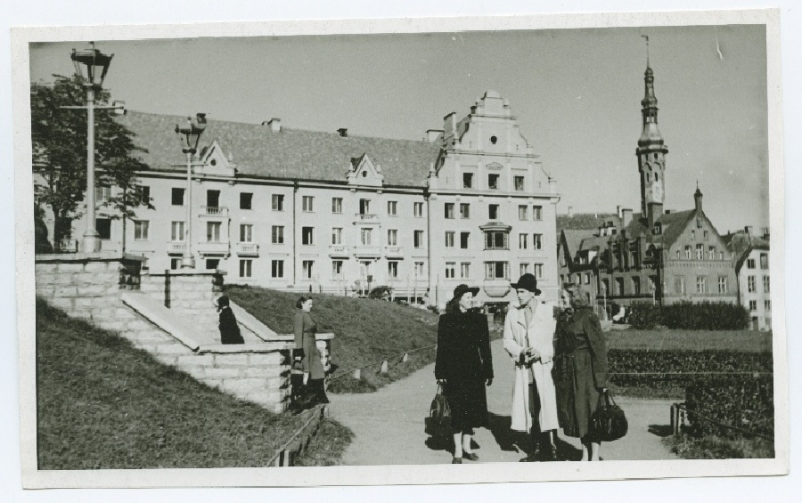 Tallinn, Harju tänava haljasala.
