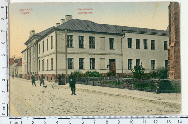 Tartu, Gymnasium