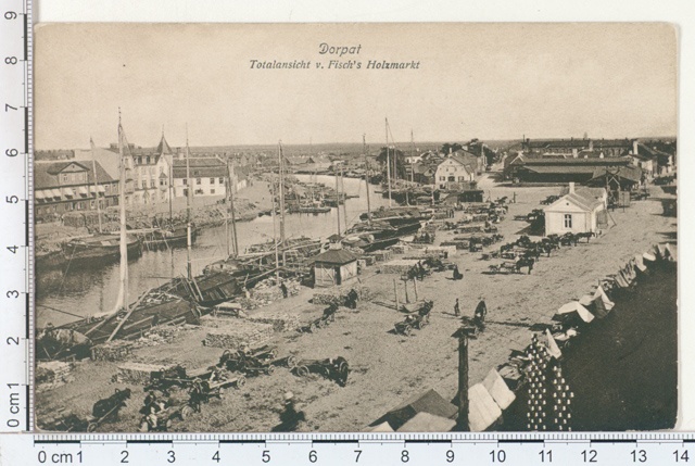 Dorpat, general view, tangible