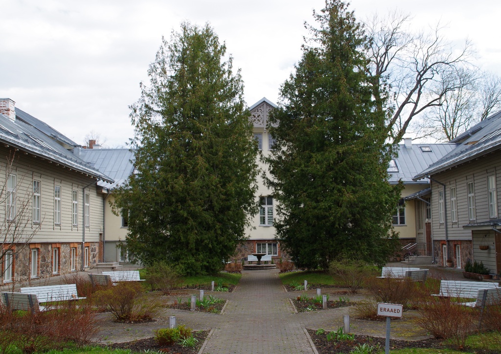 Ulcer clinic by the courtyard of the University of Tartu rephoto