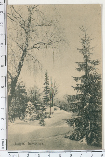 Dorpat, Toomemägi