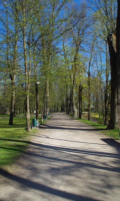 Allee Toomemäel rephoto