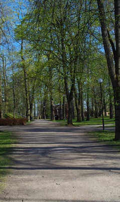 Allee Toomemäel rephoto