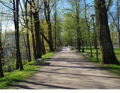 Allee Toomemäel rephoto