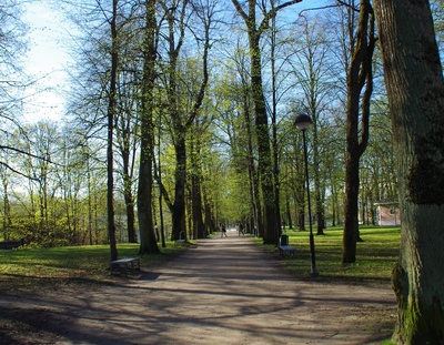 Allee Toomemäel rephoto