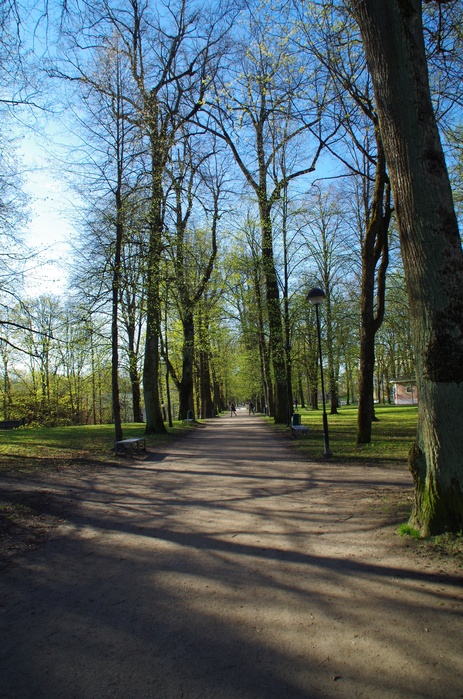 Allee Toomemäel rephoto