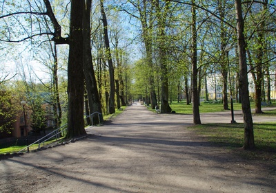 Allee Toomemäel, Background English bridge rephoto