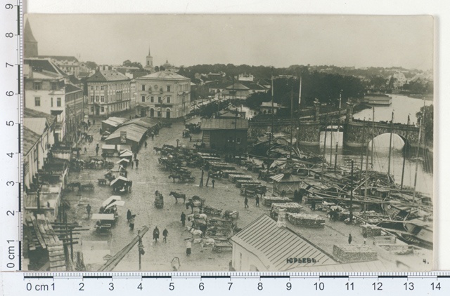 View of Tartu's immunity
