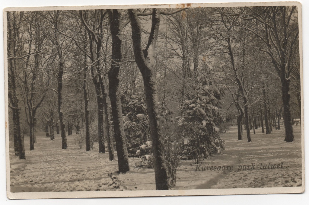 Talvine Kuressaare park