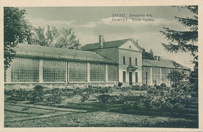 Botaanikaaed, kasvuhoone. Tartu, 1930.  duplicate photo