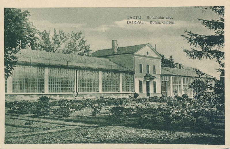 Botaanikaaed, kasvuhoone. Tartu, 1930.