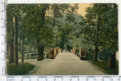 Dorpat, Toome allee  duplicate photo