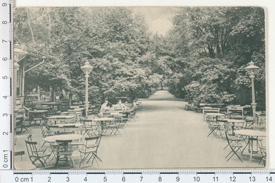 Dorpat, garden of handicrafts  duplicate photo