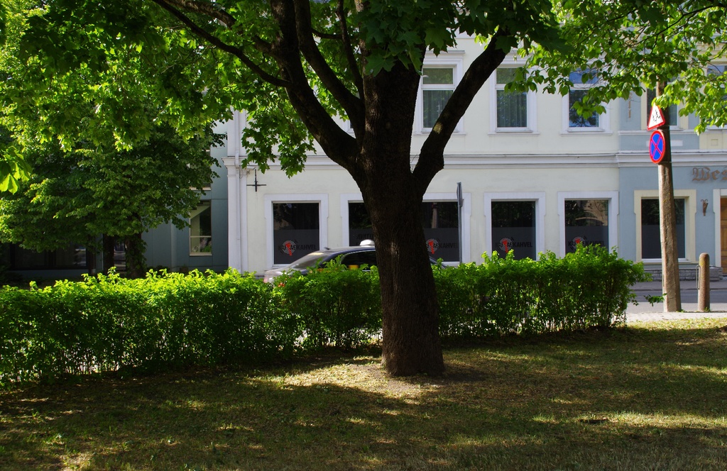 Viru Majandusühisuse koloniaalkauplus rephoto