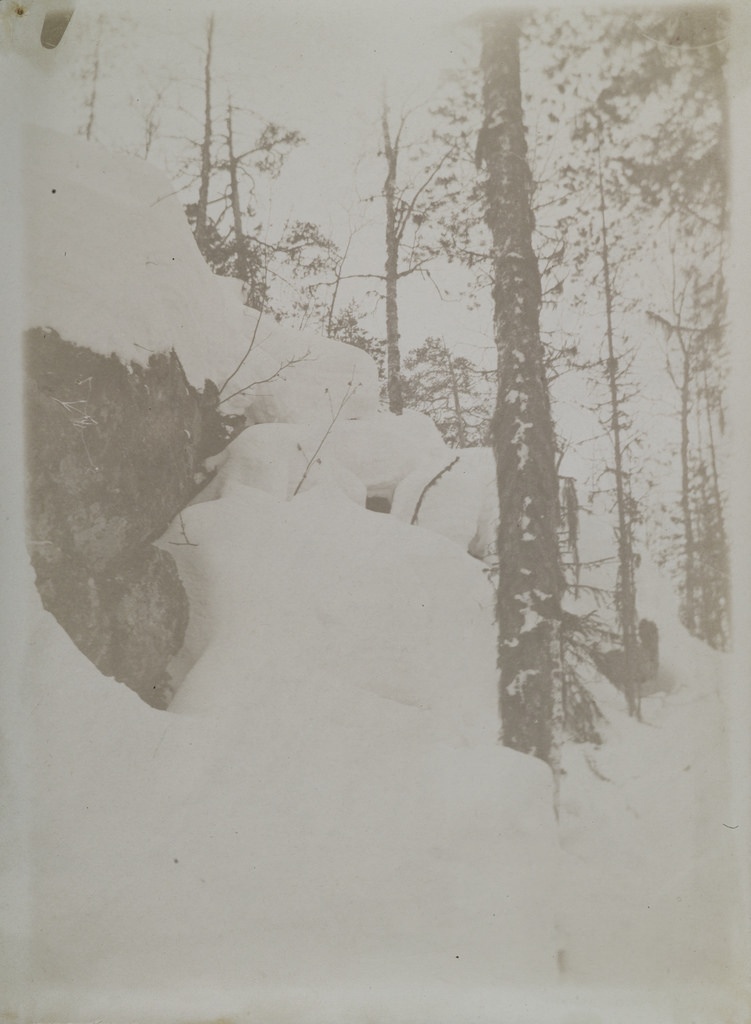Granite cliff and birch covered by thick, springtime snow
