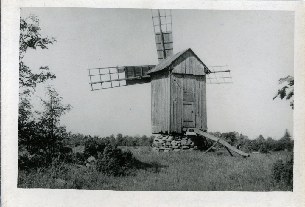 Saaremaa, umbes 1900. aastal ehitatud pukktuulik Viltina külas