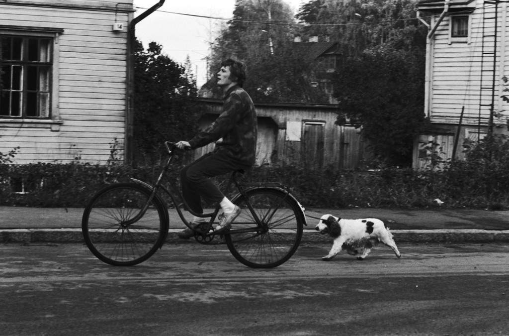 Oulunkylä, Veräjämäki, Larin Kyöstin Road 12, 14. A man drives Larin Kyöst on the road with a bicycle while a dog runs on the belt.