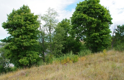 Ruins of Rakvere Castle rephoto