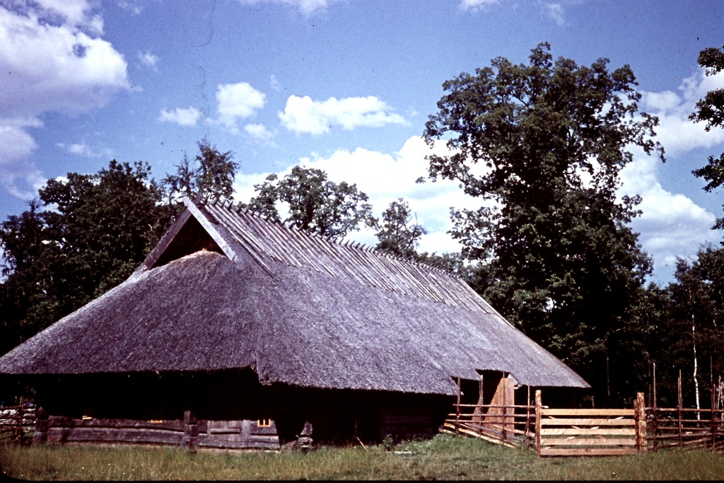 Vaade Roosta rehemajale