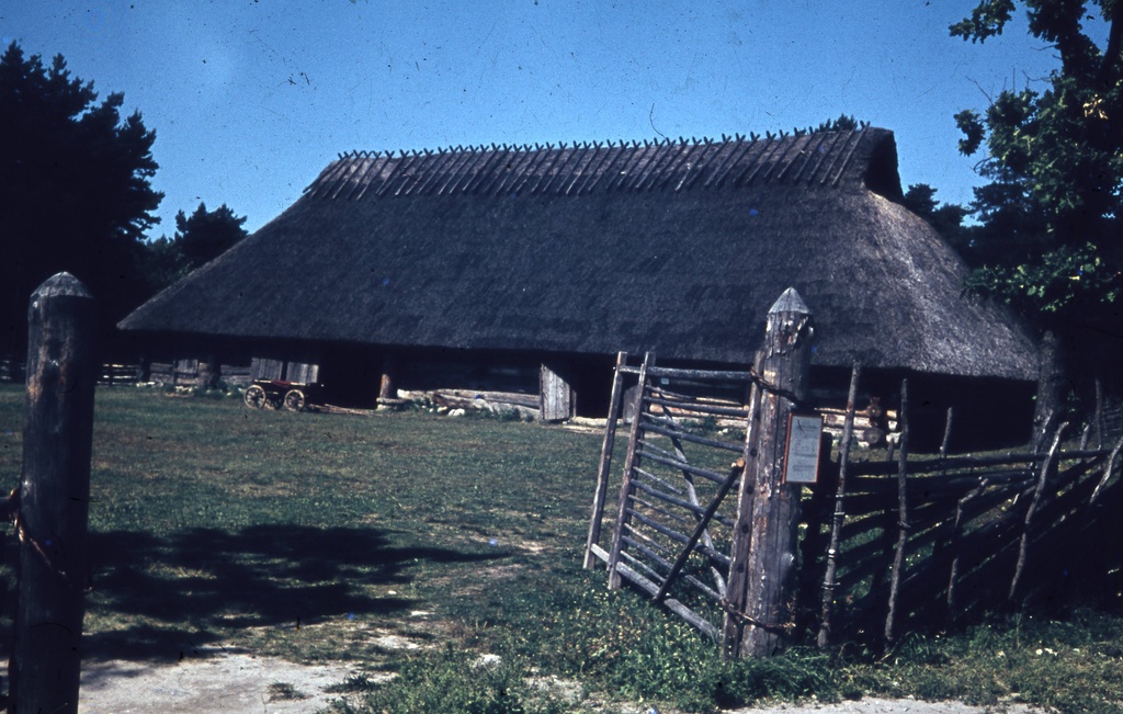 Sassi-Jaani rehemaja