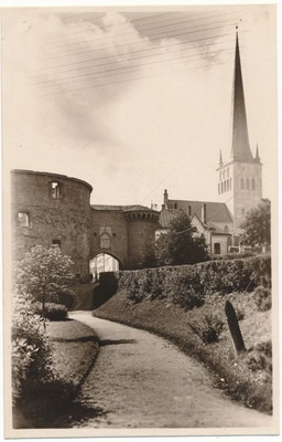 Postcard. Tallinn, Great Beach Gate. Located in the album Hm 7955.  duplicate photo