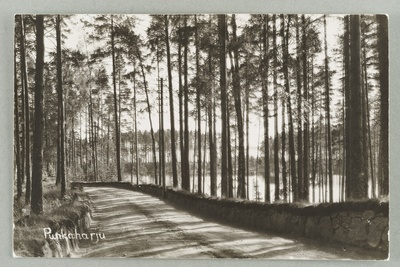 Harjutie direction Punkasalmi Äijö the Gulf  duplicate photo