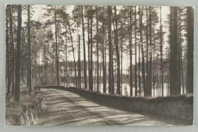 Harjutie direction Punkasalmi Äijö the Gulf  duplicate photo