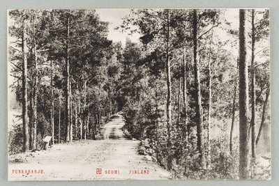 Old Harjutie Kuikonniemen the root of the direction of fire guard the hill, on the left Pöllänlampi, right Black Lahti  duplicate photo