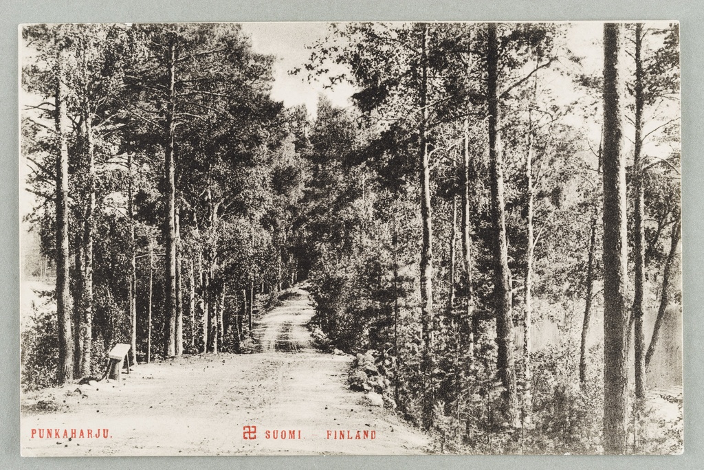 Old Harjutie Kuikonniemen the root of the direction of fire guard the hill, on the left Pöllänlampi, right Black Lahti