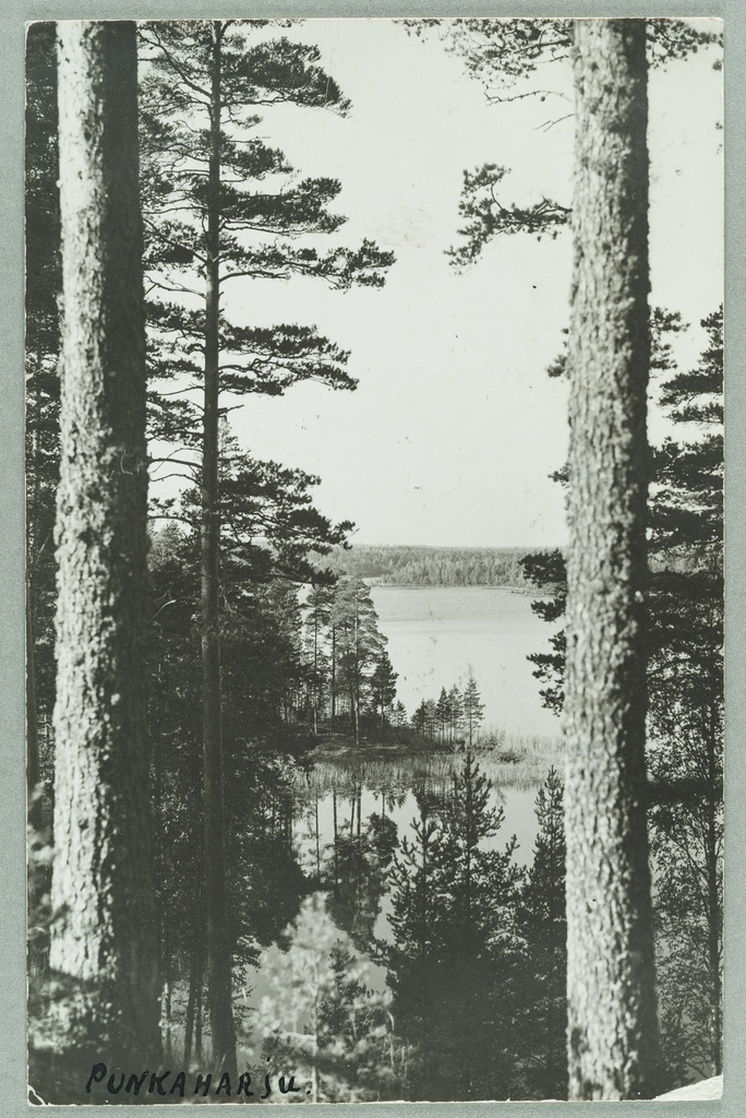 Nervander kummulta Sheep Ridge cape, behind the Tuunaansaari and Vaaher- salo