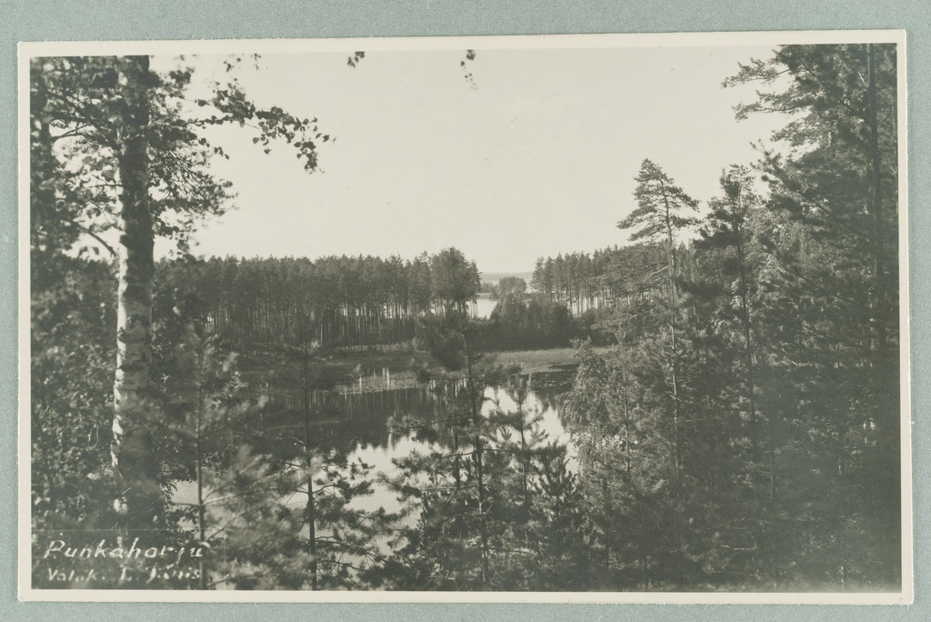 Sight Line: Nervander mound-bark-bark Lahti Niemi-Saari Church