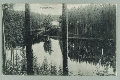 Sight Line: Runebergin mound-Valkialampi-Back and means of auto Lammasharjujen. isthmus  duplicate photo