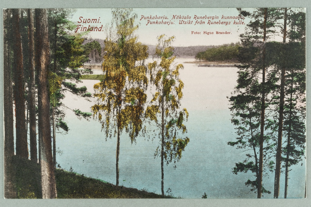 View line: harju-Laukanlahti-Likolahti, Onkiluoto from birch to left