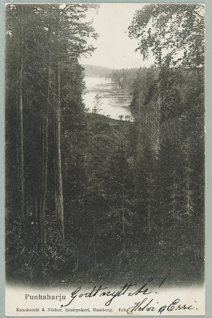 View line: Runebergin kumpu-Lammasharju-Kaarnaniemi, behind Tuunaansaar