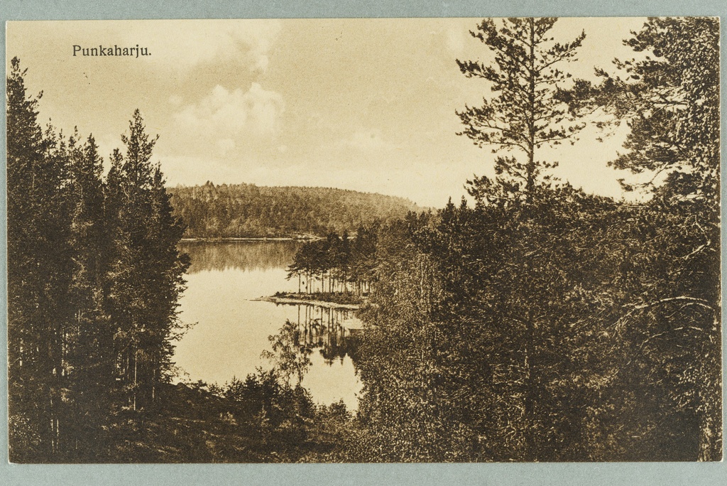 View line: Runebergin kumpu-Lammasharju-Kaarnaniemi, behind Tuunaansaar