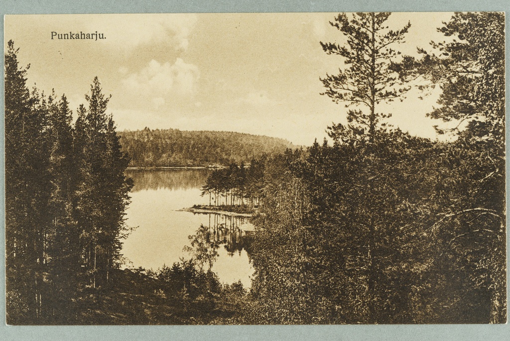 View line: Runebergin kumpu-Lammasharju-Kaarnaniemi, behind Tuunaansaar