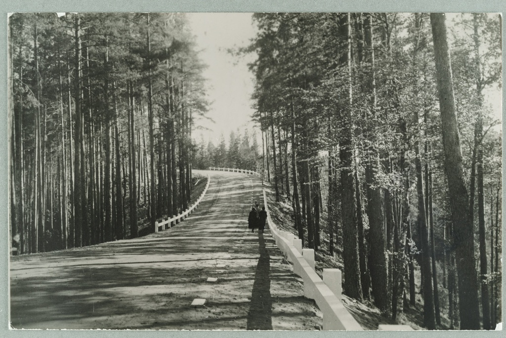 Exercise on the Gummi of the Nervander to the Gummi of the Runeberg