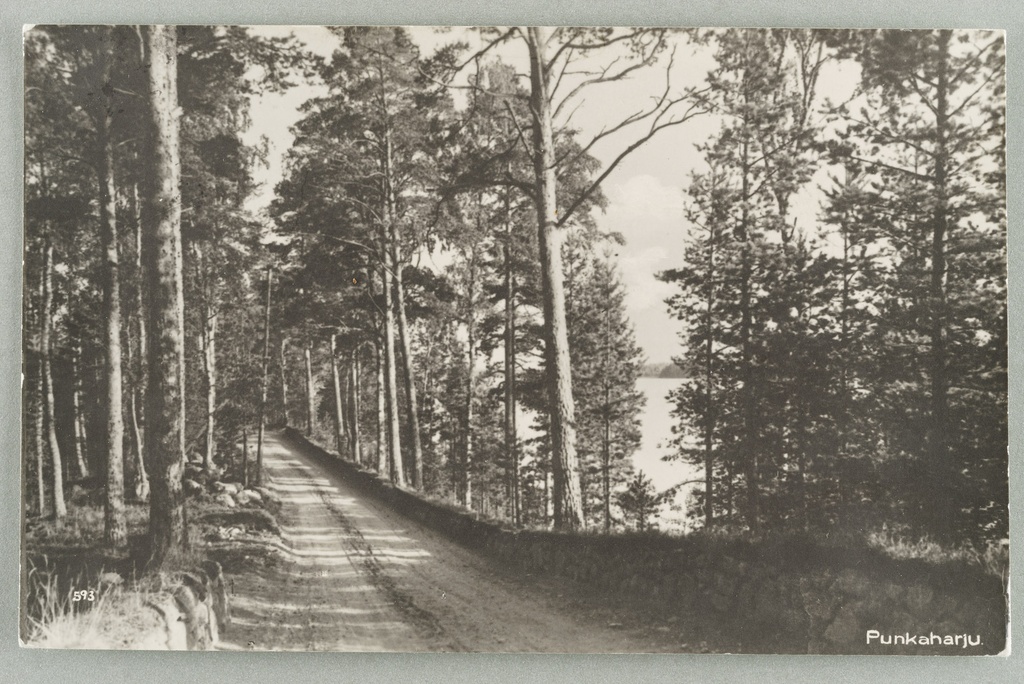 Old exercise path towards Punkasalme after the fire guard hill