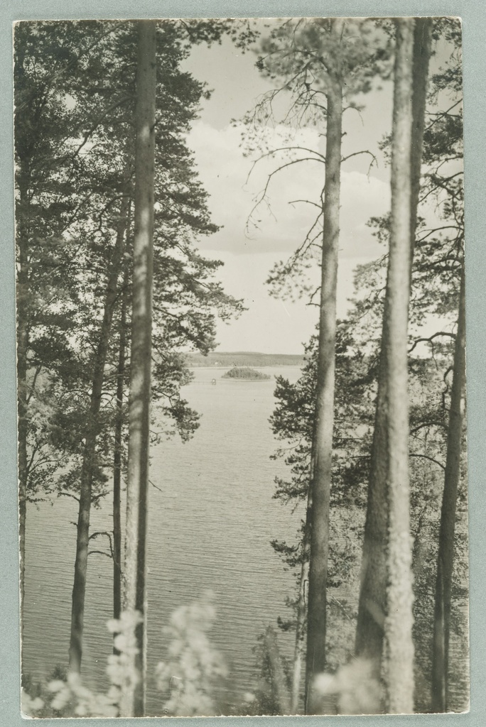 The Gummi of the Nervander to the Laukanlahde: behind Nuotsaari and Laukansaari