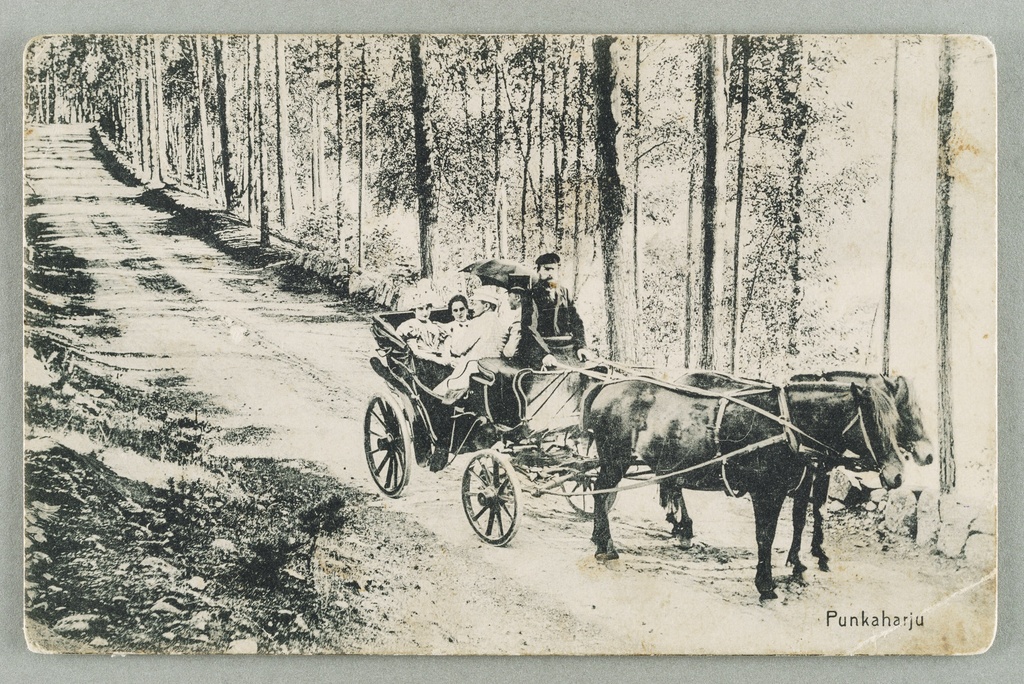Old exercise road next to the mountain of fire guard, described in the direction of Punkasalme