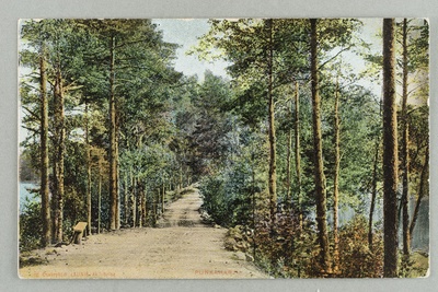 Old exercise from Kuikonniemen to the hill of the fire guard, left Pöllänlampi, right Mustalahti  duplicate photo