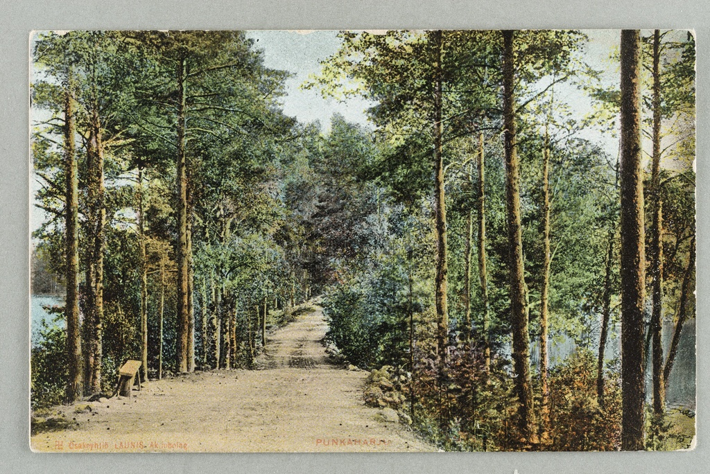 Old exercise from Kuikonniemen to the hill of the fire guard, left Pöllänlampi, right Mustalahti