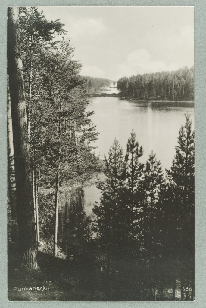 View line: interior trainee-Valkialampi train and Takaharju