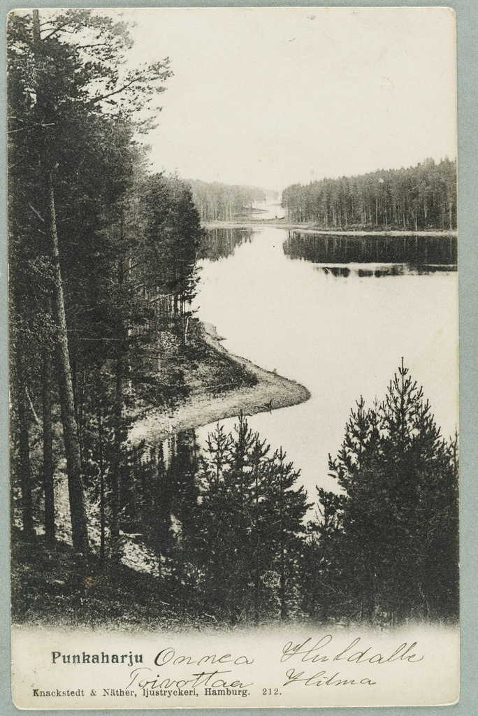 View line: interior trainee-Valkialampi train and Takaharju