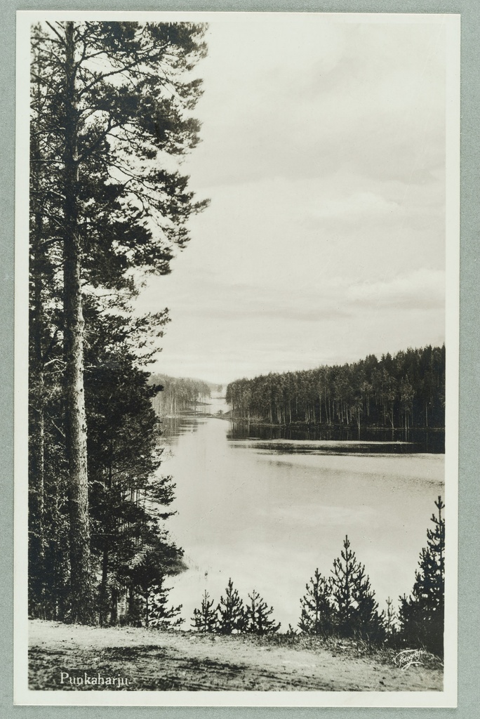 View line: interior trainee-Valkialampi train and Takaharju